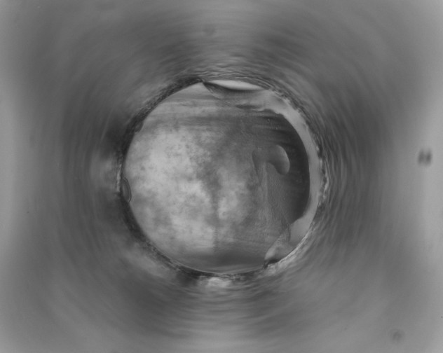 X0000090780180200708101841