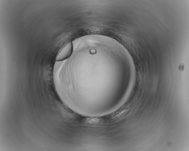 X0000090780181200708101841