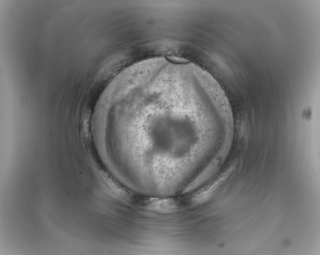 X0000090780185200708101841