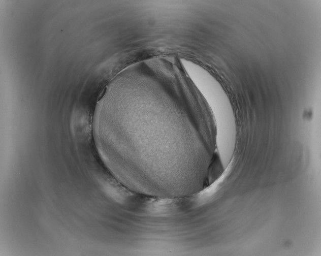 X0000090780186200708101841