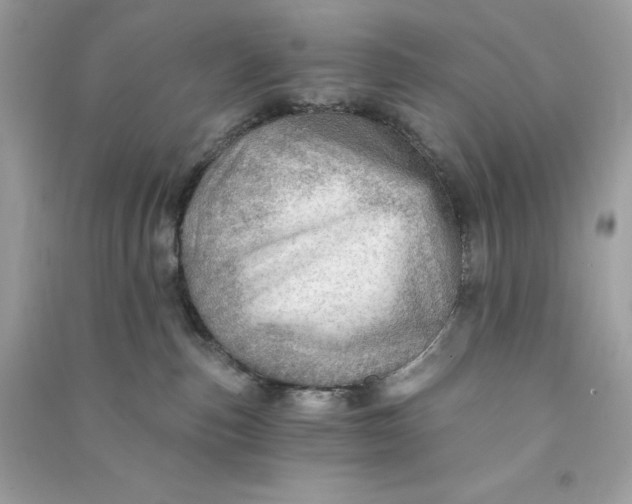 X0000090780187200708101841
