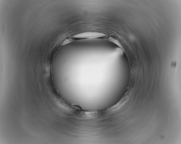 X0000090780188200708101841