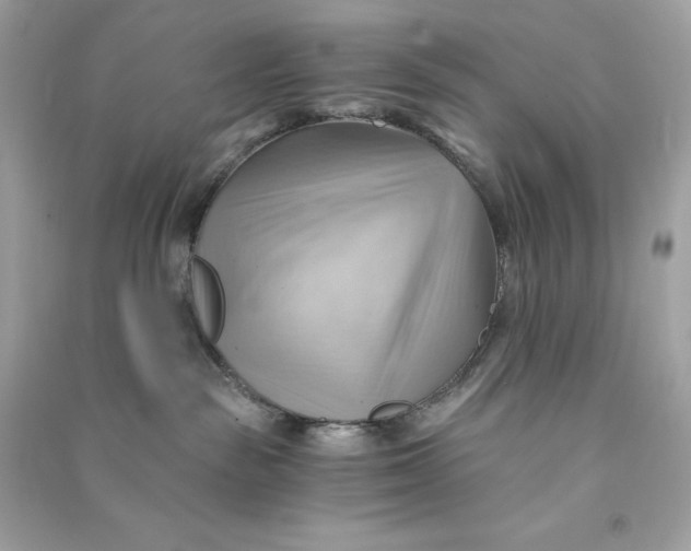 X0000090780189200708101841