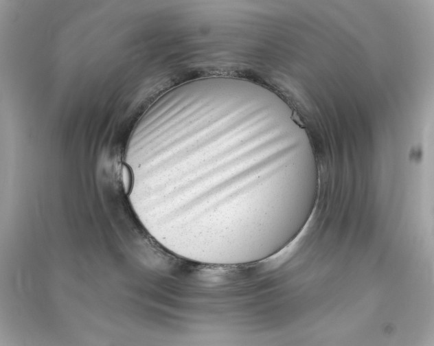 X0000090780190200708101841