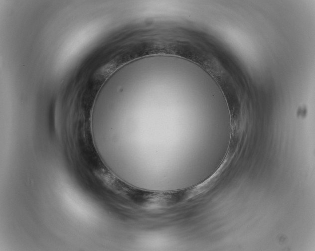 X0000090780191200708101841