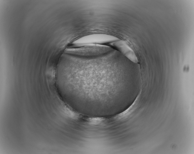 X0000090780192200708101841