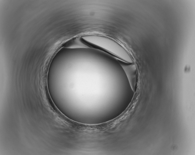X0000090780193200708101841