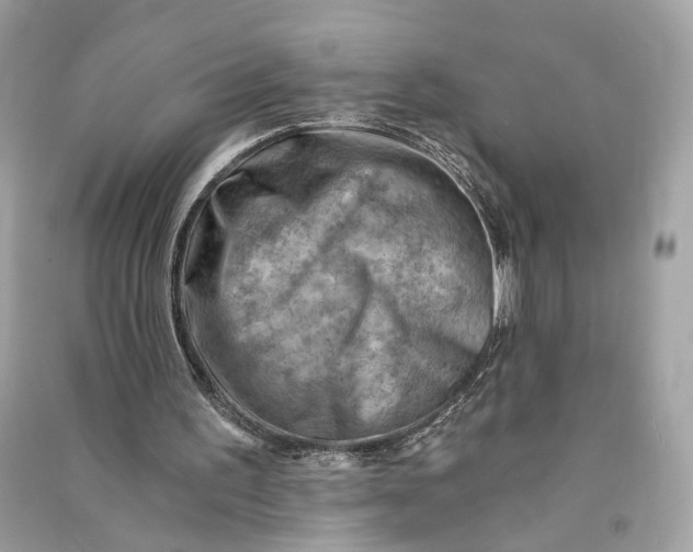 X0000090780195200708101841