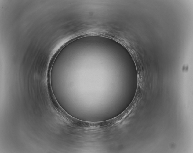 X0000090780196200708101841