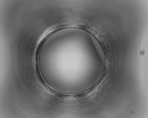 X0000090780198200708101841