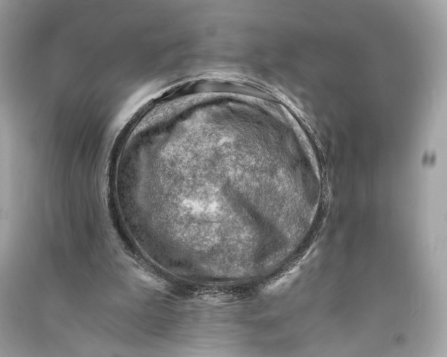 X0000090780199200708101841