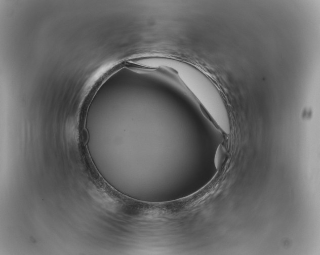 X0000090780200200708101841