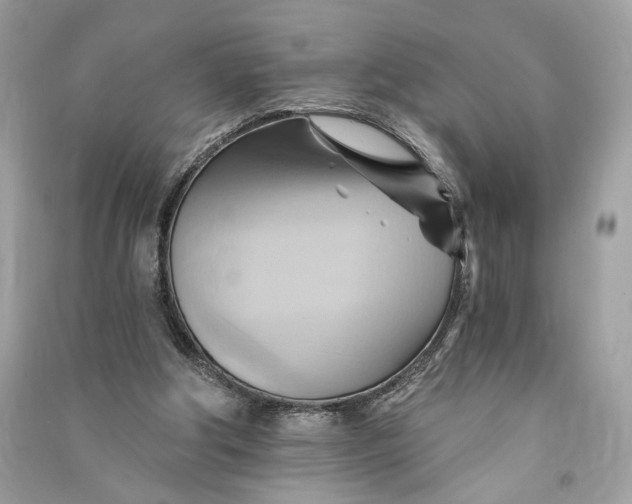 X0000090780202200708101840