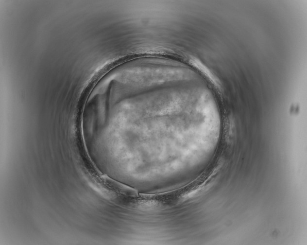 X0000090780203200708101840