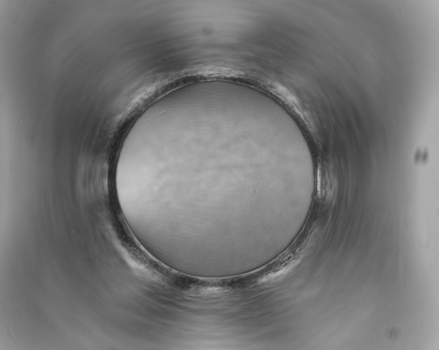 X0000090780205200708101840