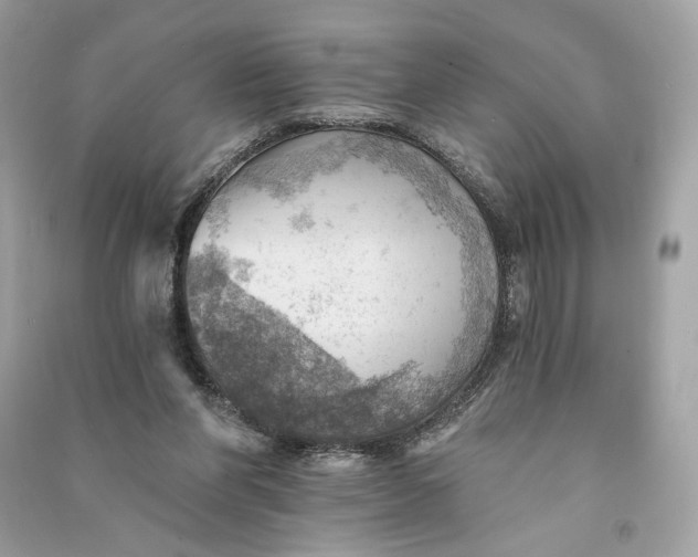 X0000090780206200708101840