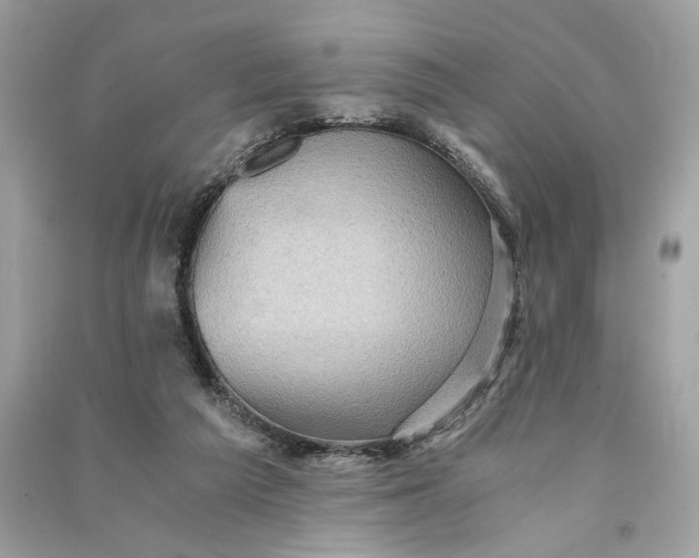 X0000090780209200708101840
