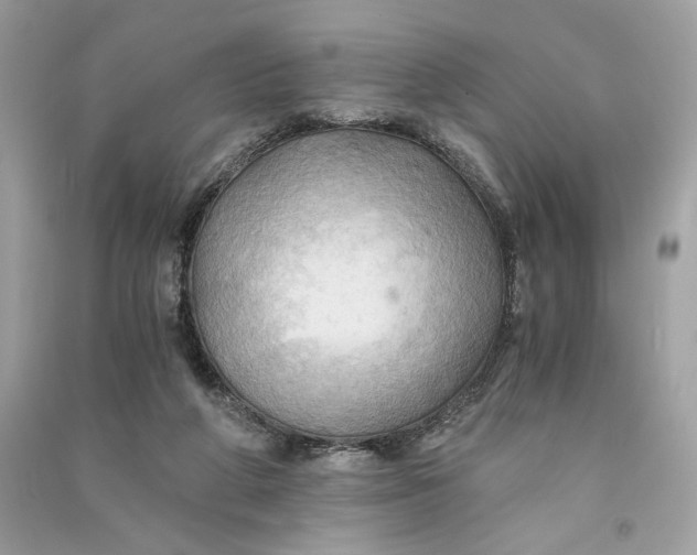 X0000090780210200708101840