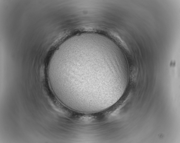 X0000090780213200708101840