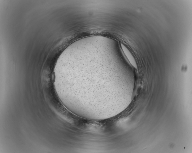 X0000090780215200708101840