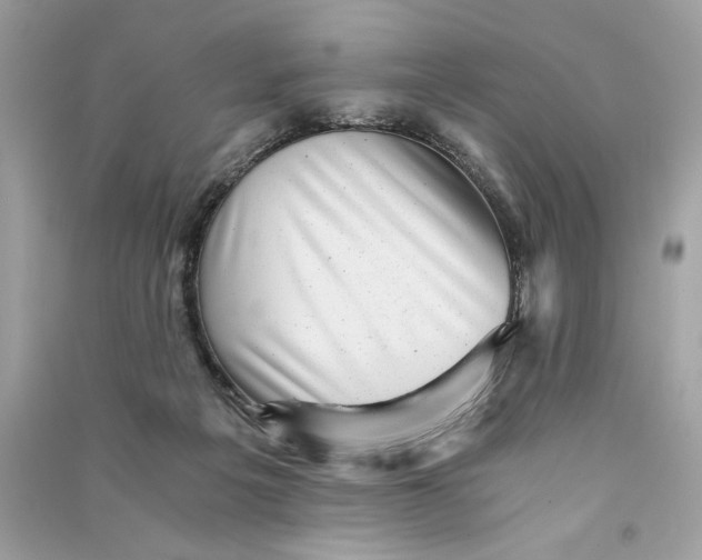 X0000090780217200708101840