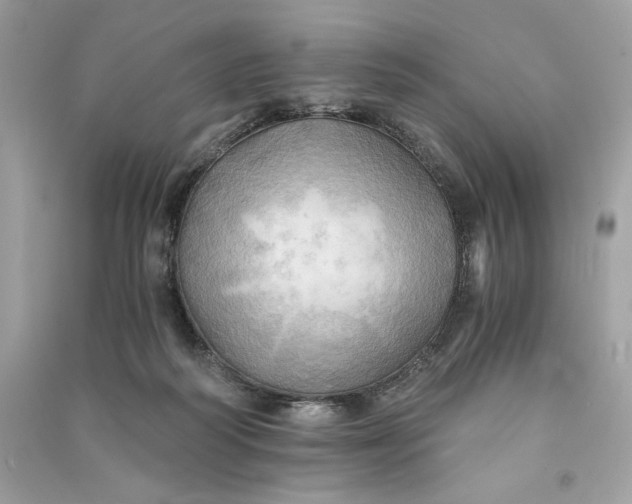 X0000090780218200708101840