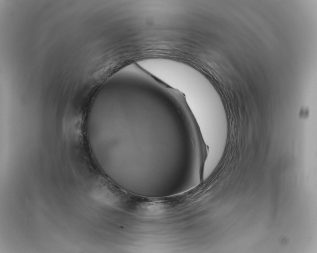 X0000090780219200708101840