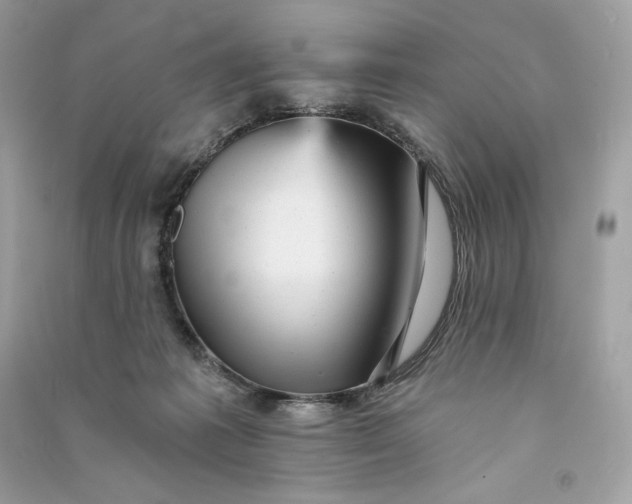 X0000090780221200708101840