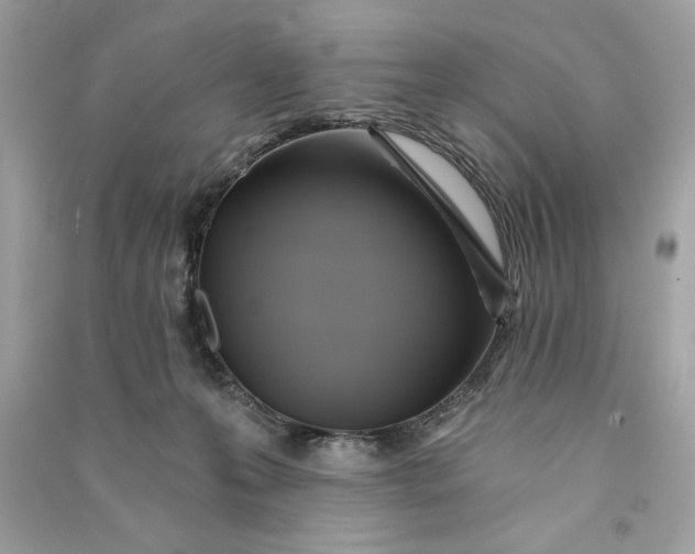 X0000090780223200708101840