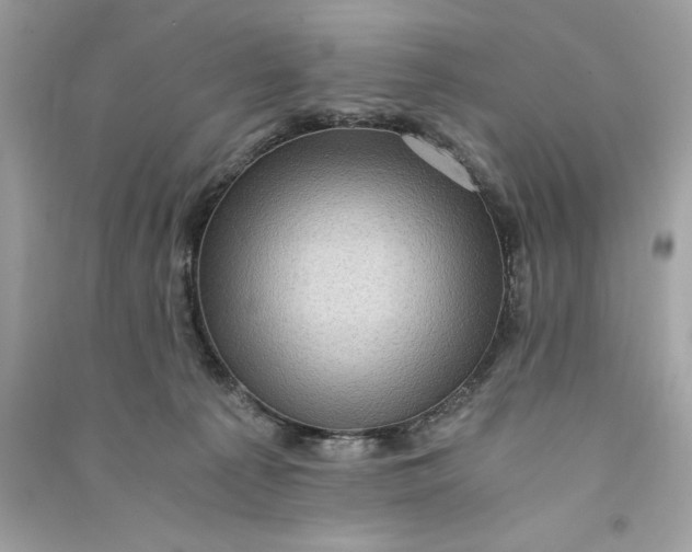 X0000090780225200708101840