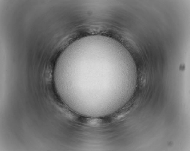 X0000090780226200708101840