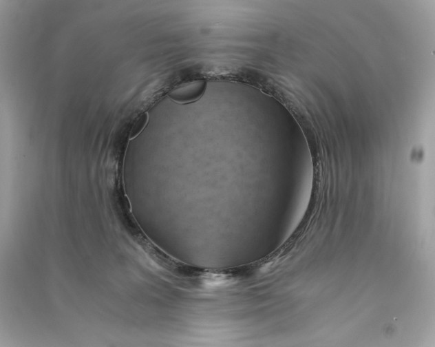 X0000090780227200708101840
