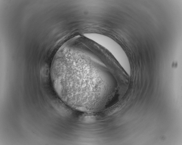 X0000090780228200708101840
