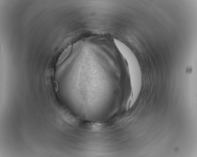 X0000090780229200708101840