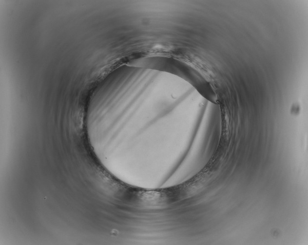 X0000090780230200708101840