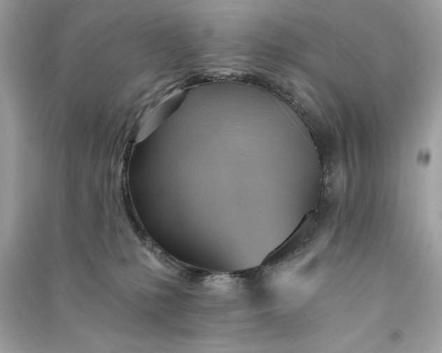 X0000090780231200708101840