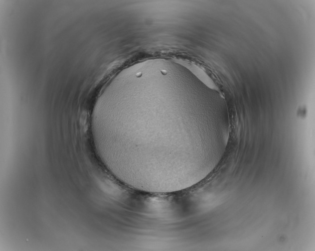 X0000090780232200708101840