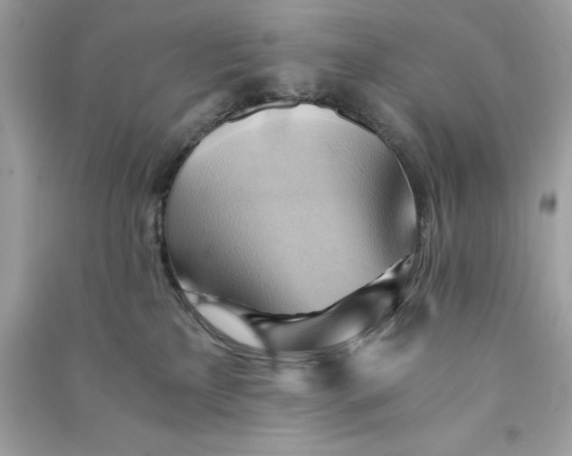 X0000090780233200708101840