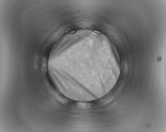 X0000090780234200708101840
