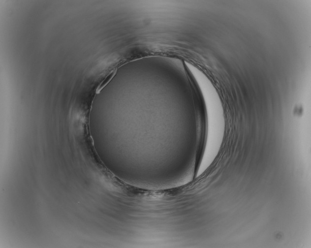 X0000090780235200708101840