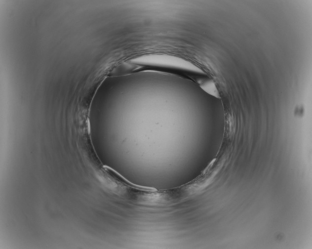 X0000090780237200708101840
