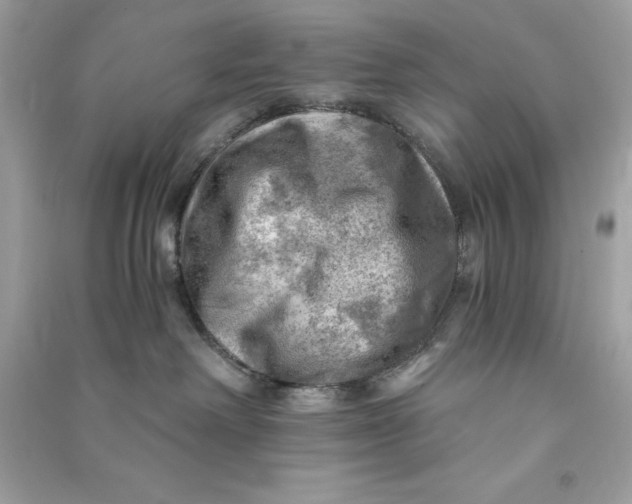 X0000090780238200708101840