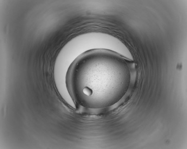 X0000090780239200708101840