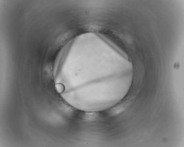 X0000090780240200708101840