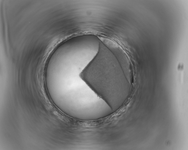 X0000090780241200708101839