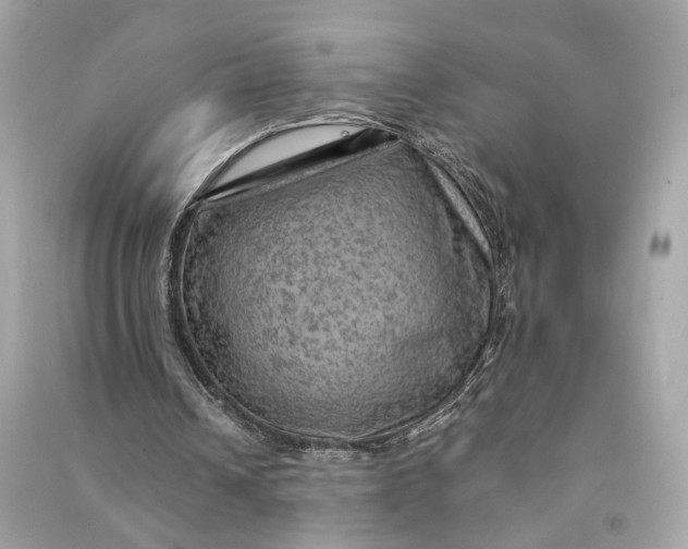 X0000090780242200708101839