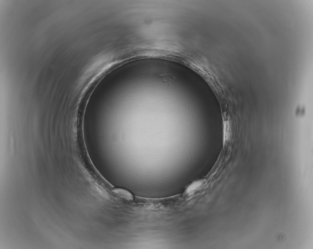 X0000090780243200708101839