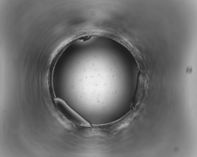 X0000090780244200708101839