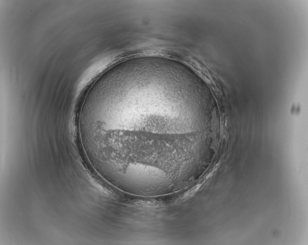 X0000090780245200708101839