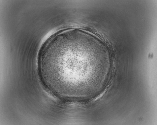 X0000090780246200708101839